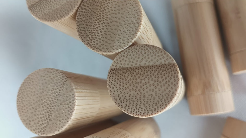 Balm Labial Super Regenerador - Vit E + Buriti + Semente de Uva + Abacate + Manteiga de Cacau e Karité - CleearLips